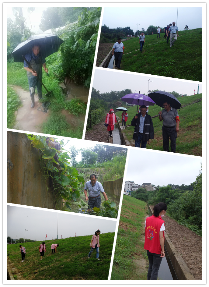  防汛抗洪丨荊劉村：同降雨拼速度，與汛情作斗爭